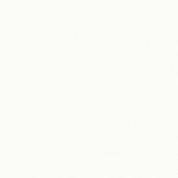 ベーシックカラー壁紙