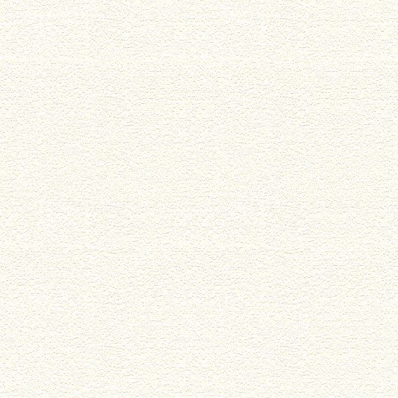 ベーシックカラー壁紙