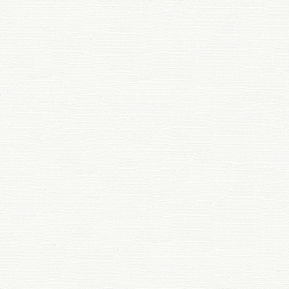 ベーシックカラー壁紙