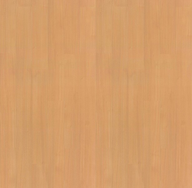 バーチ