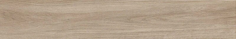 イークリンNW-EX　シャイニングオーク