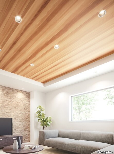 厚めで天井にもおすすめの木目調壁紙 ブラウン 木目 防かび サンゲツ FE76588 旧品番FE74203