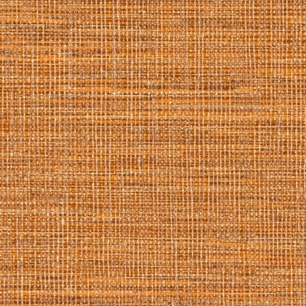 TEXTURE & COLOR/Lucent Strings ルーセントストリングス