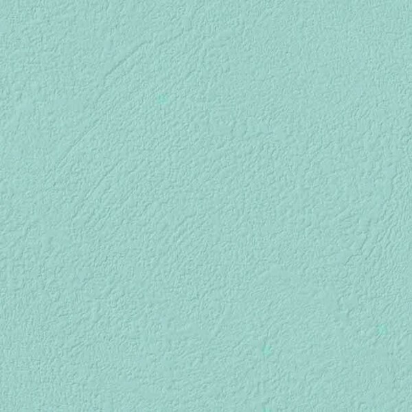 TEXTURE & COLOR/Color Plaster カラープラスター