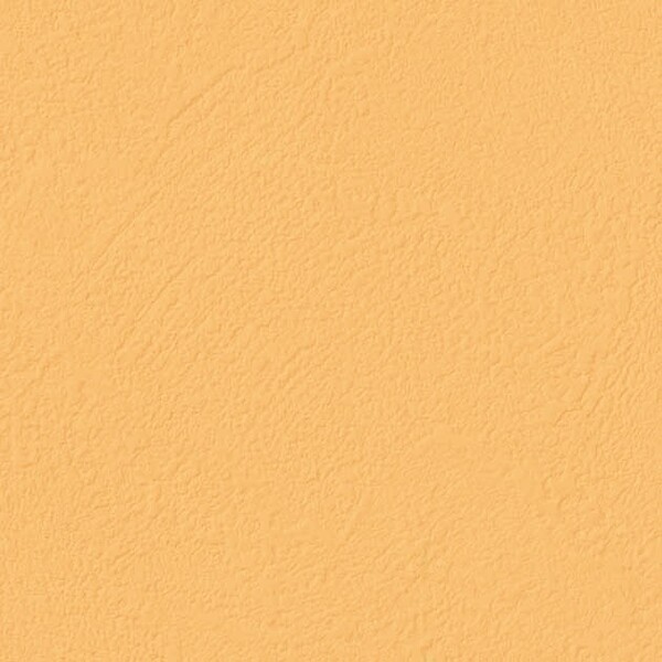 TEXTURE & COLOR/Color Plaster カラープラスター