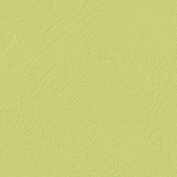 TEXTURE & COLOR/Color Plaster カラープラスター