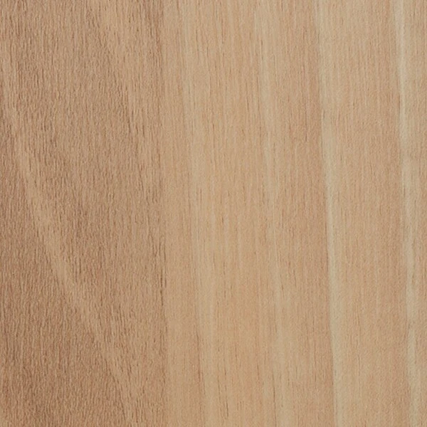 ナーシングフロアV ニースノーチェ