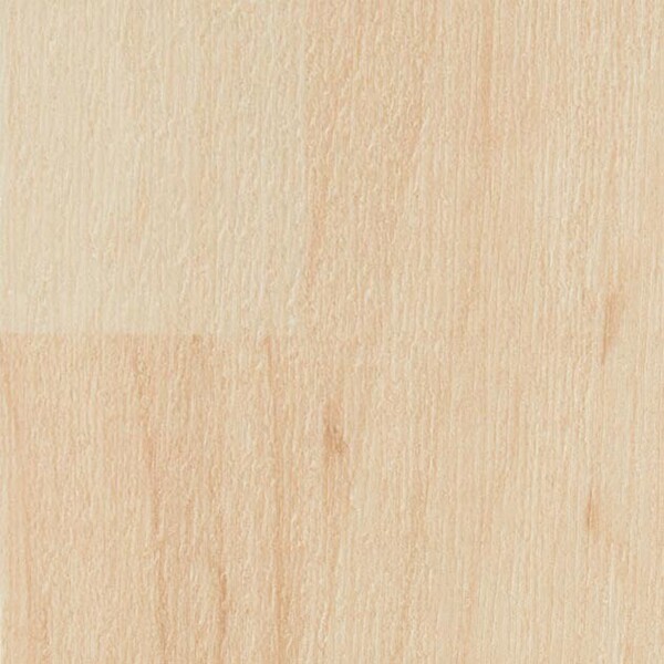 ナーシングフロアV メイプル