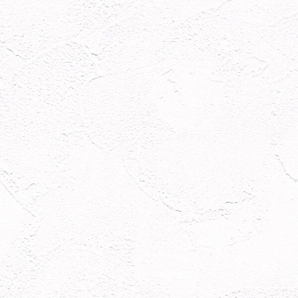 ホワイト 塗り壁調 表面強化 防かび リリカラ LB9250 旧品番LB9446