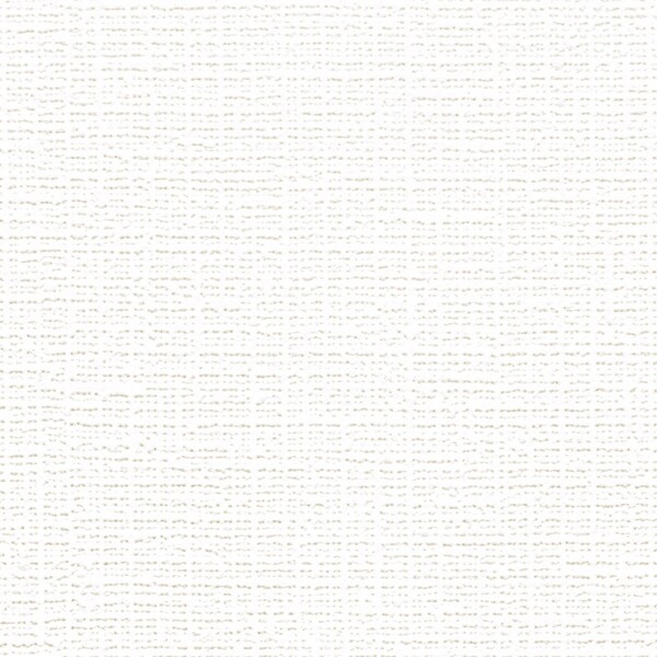 ライトアイボリー 織物調 防かび 抗菌 表面強化 撥水 リリカラ LB9873 旧品番LB9523
