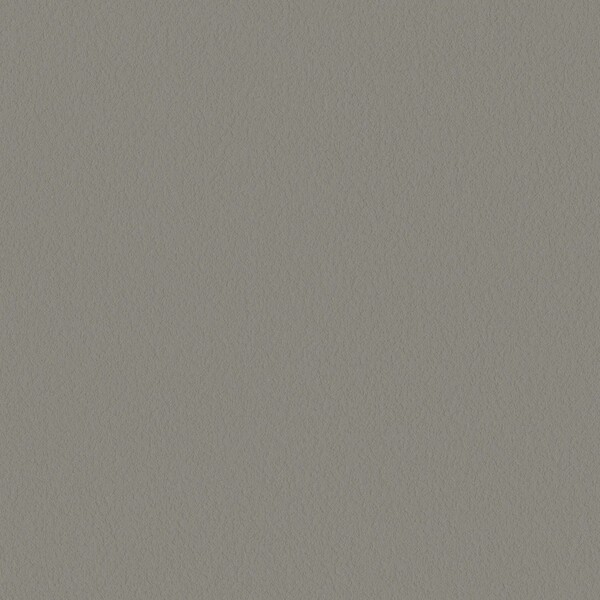 mood/カラーバリエーション