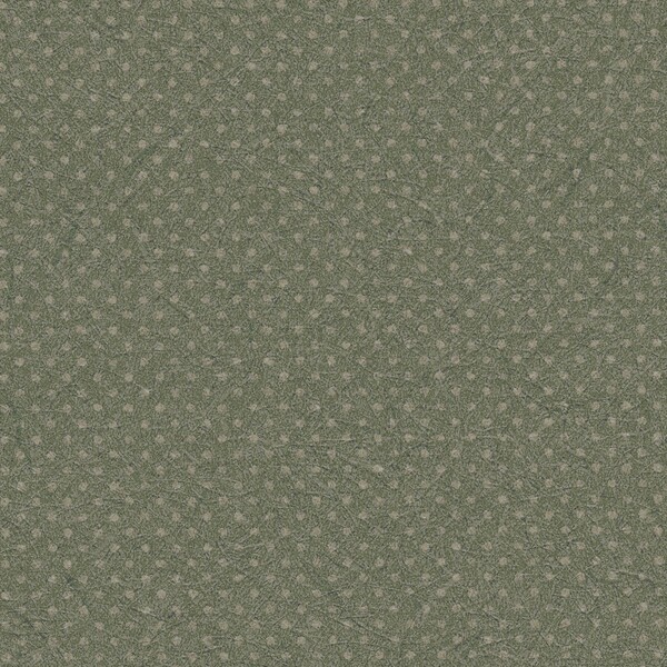 紀尾井kioi/行儀