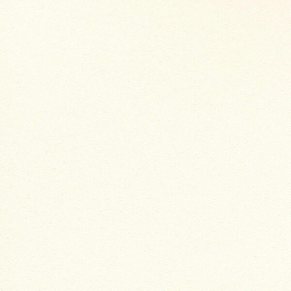 スーパー強化+汚れ防止（ペット対応）