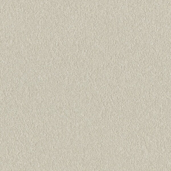 BIO SHELL バイオシェル壁紙