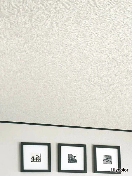 リフォーム・天井にもおすすめモコモコ壁紙