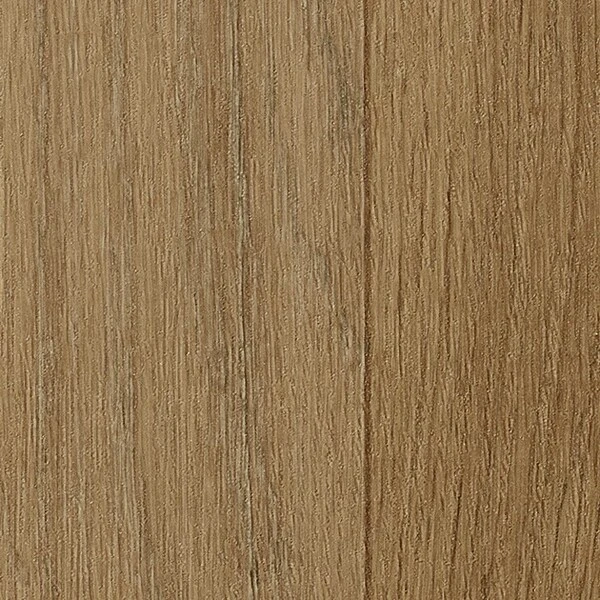 ストロング Naturescape/ Forest Brook 森のせせらぎ