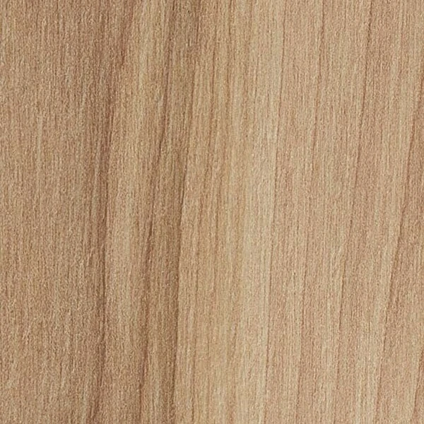 ストロング バーチ