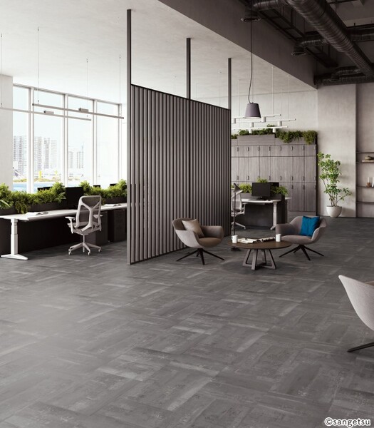 ストロングEX ミコテッラ