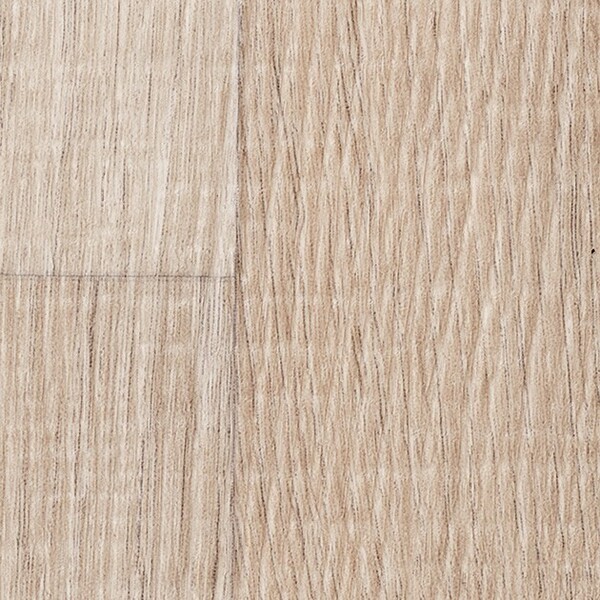 リアルセーフティ フォギーウッド