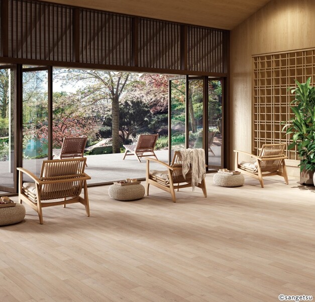 リアルセーフティ フォギーウッド