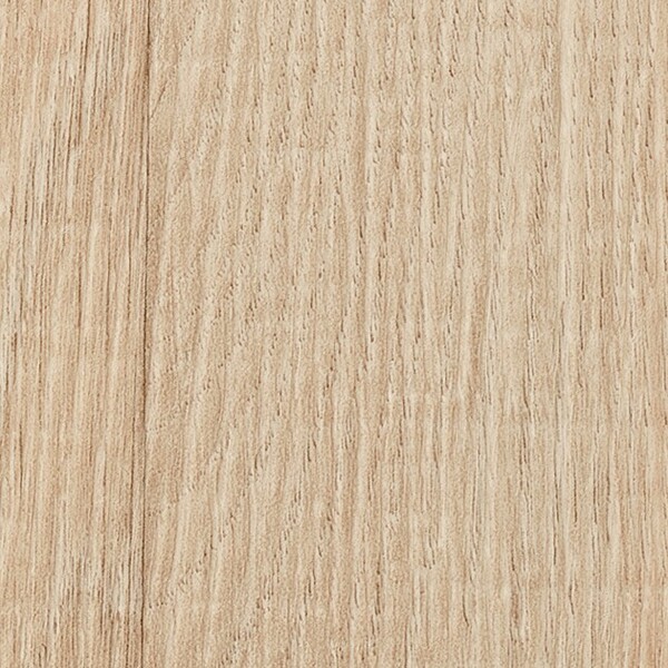 リアルセーフティ フォギーウッド