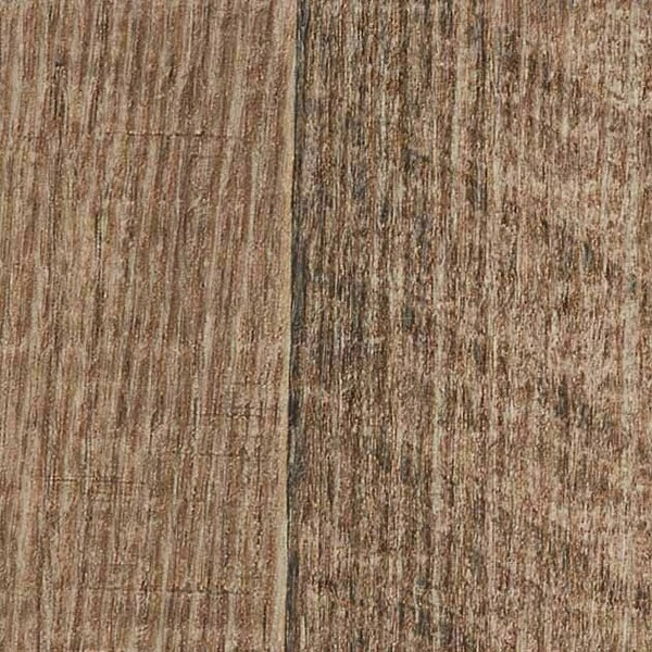 リアルセーフティ ネロオーク