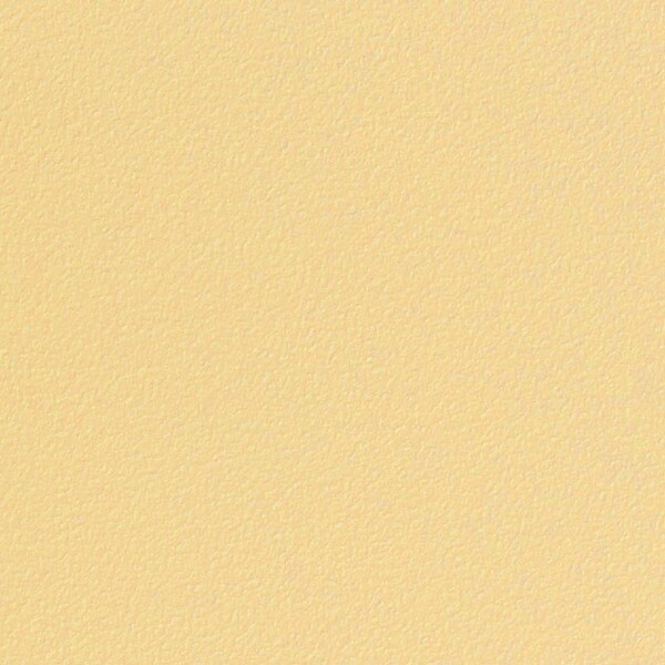 エスリューム プレーン