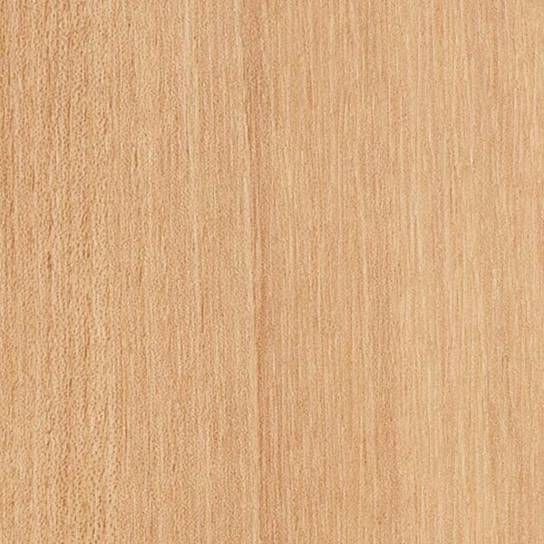 SKフロア エルム