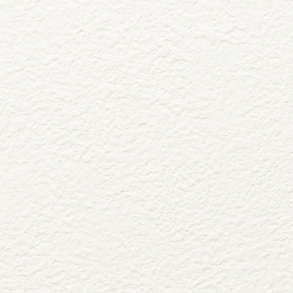 ホワイト 塗り壁調 防かび 抗菌 表面強化 撥水 サンゲツ SP2843