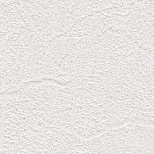 ホワイト 塗り壁調 防かび 抗菌 表面強化 撥水 サンゲツ SP9725 