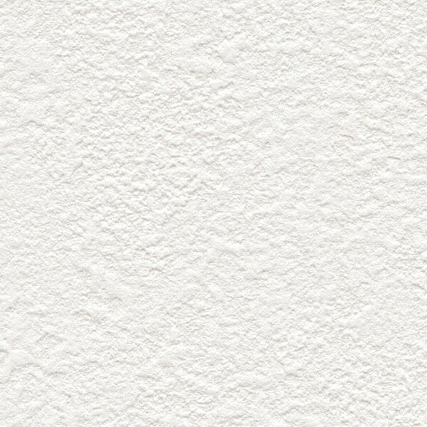ホワイト 塗り壁調 防かび 抗菌 表面強化 撥水 サンゲツ SP9742 