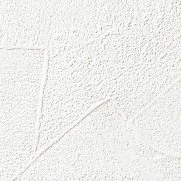 ホワイト 塗り壁調 防かび 抗菌 撥水 サンゲツ SP9745 旧品番SP2839