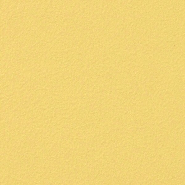 Texture & Color