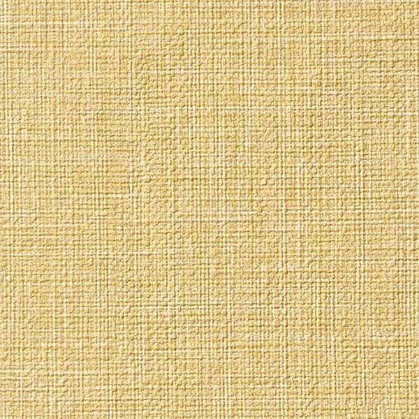 Texture & Color