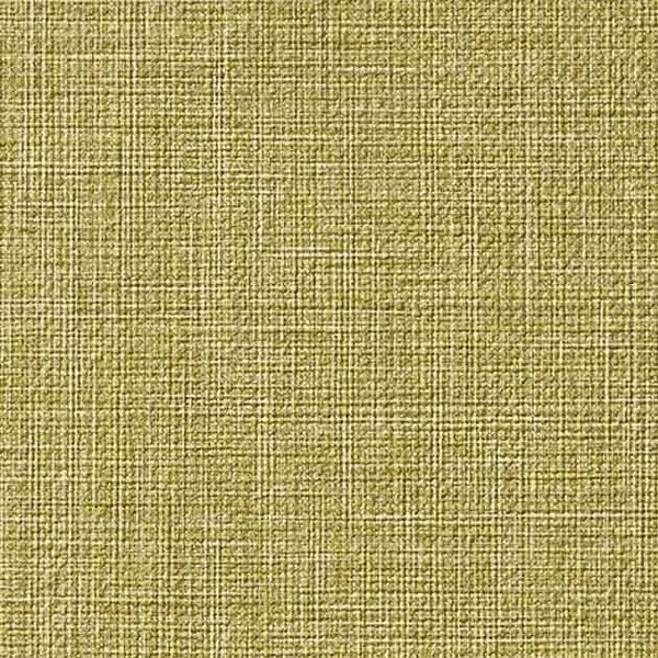 Texture & Color