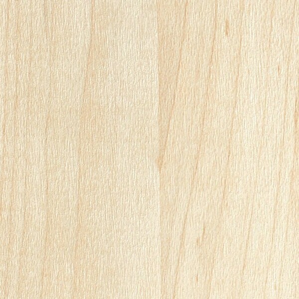 PROGRESS WOOD/ライト＆ダークカラー