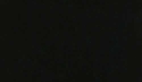 ブラック ノンワックスコーティング＋抗菌+抗ウイルス+重歩行 TAJIMA 4080M 