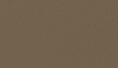 ダークブラウン ノンワックスコーティング＋抗菌+抗ウイルス+重歩行 TAJIMA 8170M 