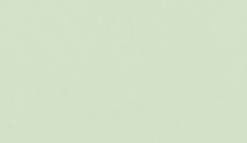 グリーン ノンワックスコーティング＋抗菌+抗ウイルス+重歩行 TAJIMA 8190M 