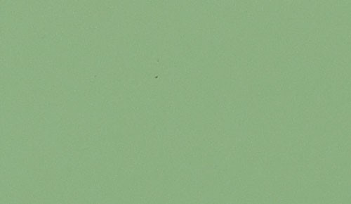 グリーン ノンワックスコーティング＋抗菌+抗ウイルス+重歩行 TAJIMA 8200M 