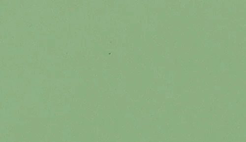 グリーン ノンワックスコーティング＋抗菌+抗ウイルス+重歩行 TAJIMA 8200M 