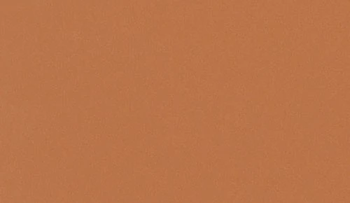 ブラウン ノンワックスコーティング＋抗菌+抗ウイルス+重歩行 TAJIMA 8290M 