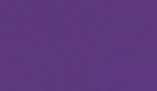 パープル ノンワックスコーティング＋抗菌+抗ウイルス+重歩行 TAJIMA 4290M 