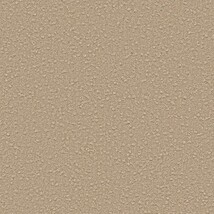 ライトブラウン 塗り壁調  防かび SINCOL BB2222 旧品番BB8341