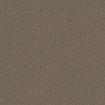 ブラウン 塗り壁調  消臭 防かび SINCOL BB2232 旧品番BB8292