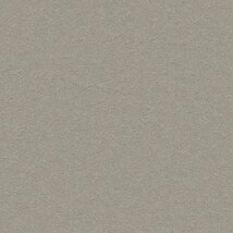 グレー 塗り壁調 光触媒 消臭 抗菌 防かび SINCOL BB2248 