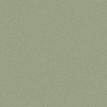 グリーン 塗り壁調 光触媒 消臭 抗菌 防かび SINCOL BB2300 