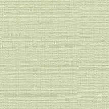 グリーン 織物調 トルウイルスS/耐クラック 抗ウィルス 抗菌 防かび SINCOL BB2317 