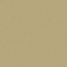 グリーン 塗り壁調  防かび SINCOL BB2323 旧品番BB8218