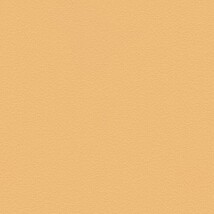オレンジ 塗り壁調 光触媒 消臭 抗菌 防かび SINCOL BB2346 